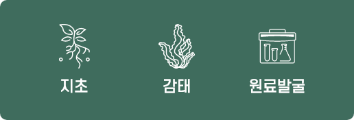 지초, 감태, 원료 발굴