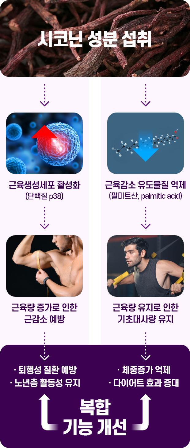지초 내용