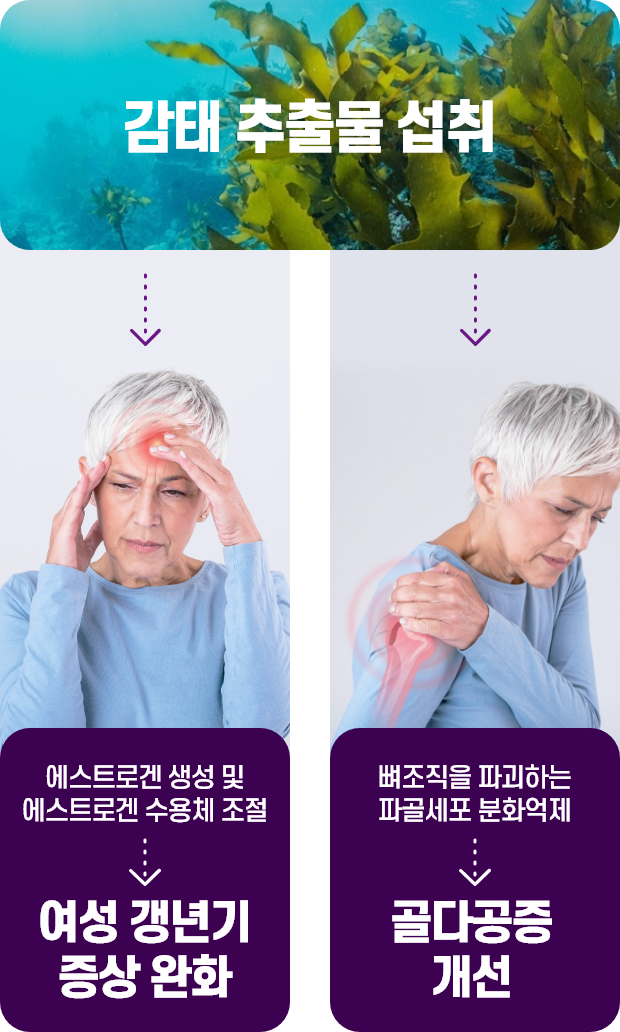 감태 내용